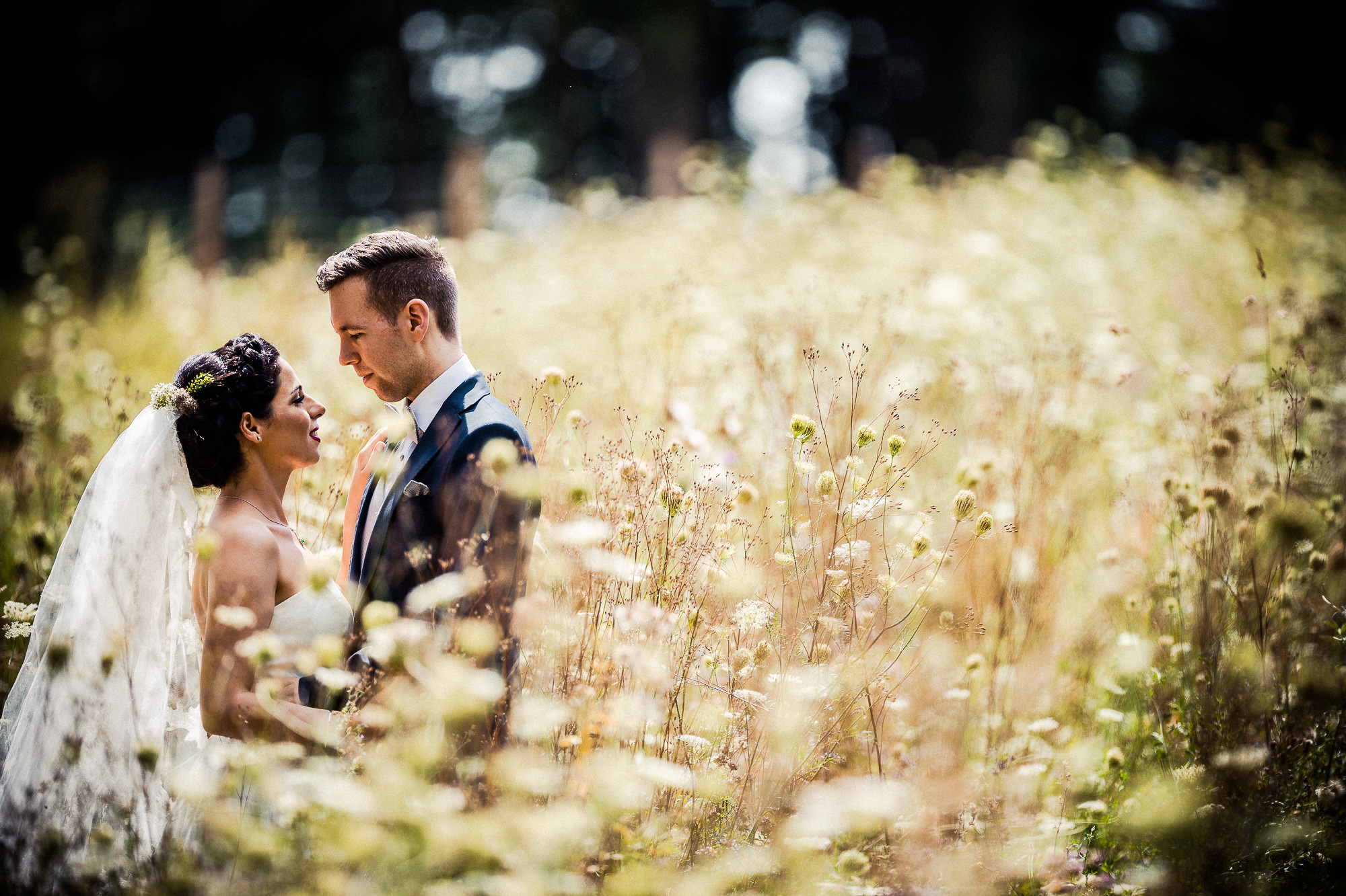 Export x3 1DX29240 Hochzeit 2018 Rahele und Timo 2